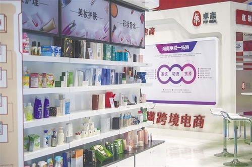 首届消博会上卓志集团发布海南方案，赋能会议及展览服务新生态