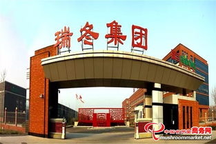 瑞冬集团业务经理交流会 网络技术服务拳头产品与研制能力展示